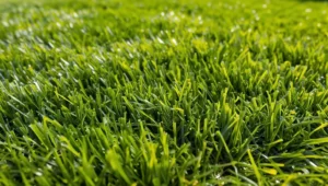 How Long Does Artificial Turf Last?